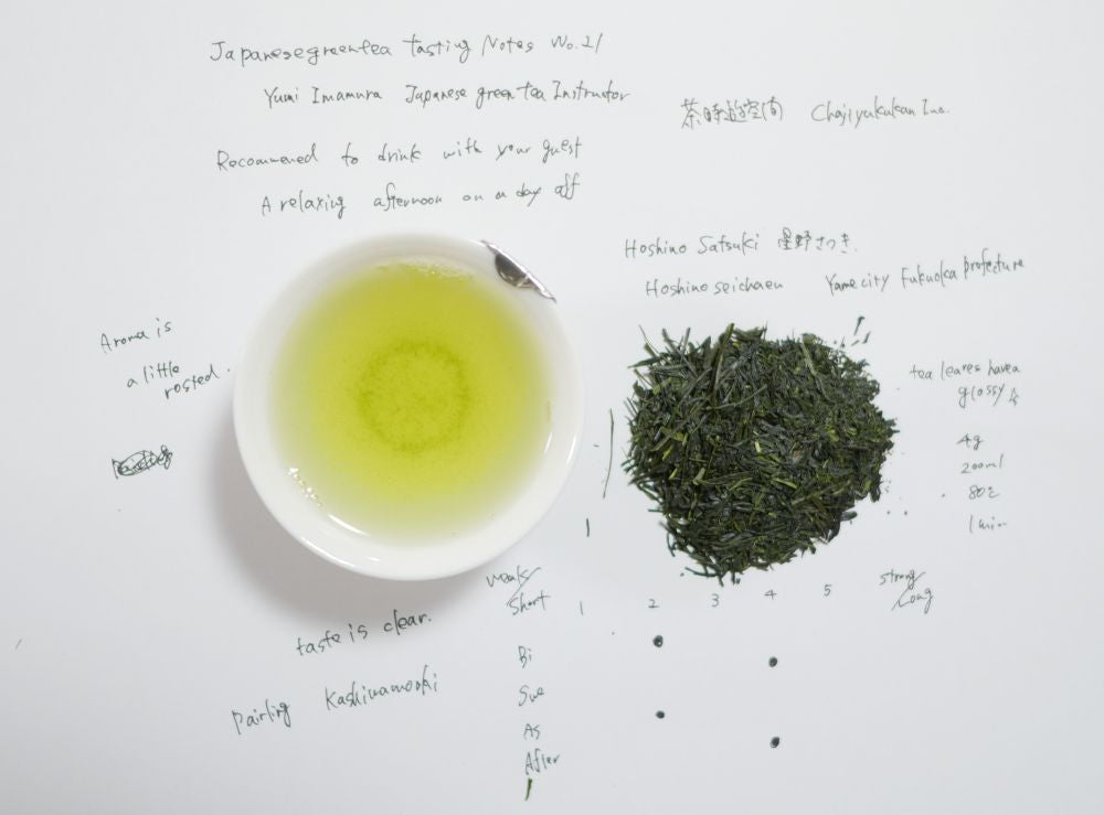 Japanese Tea Tasting Notes Yame Sencha Hoshinoseicha