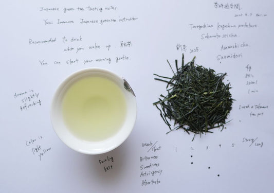 Japanese Tea Tasting Notes Saemidori Sakamotochagyou Shincha 2025