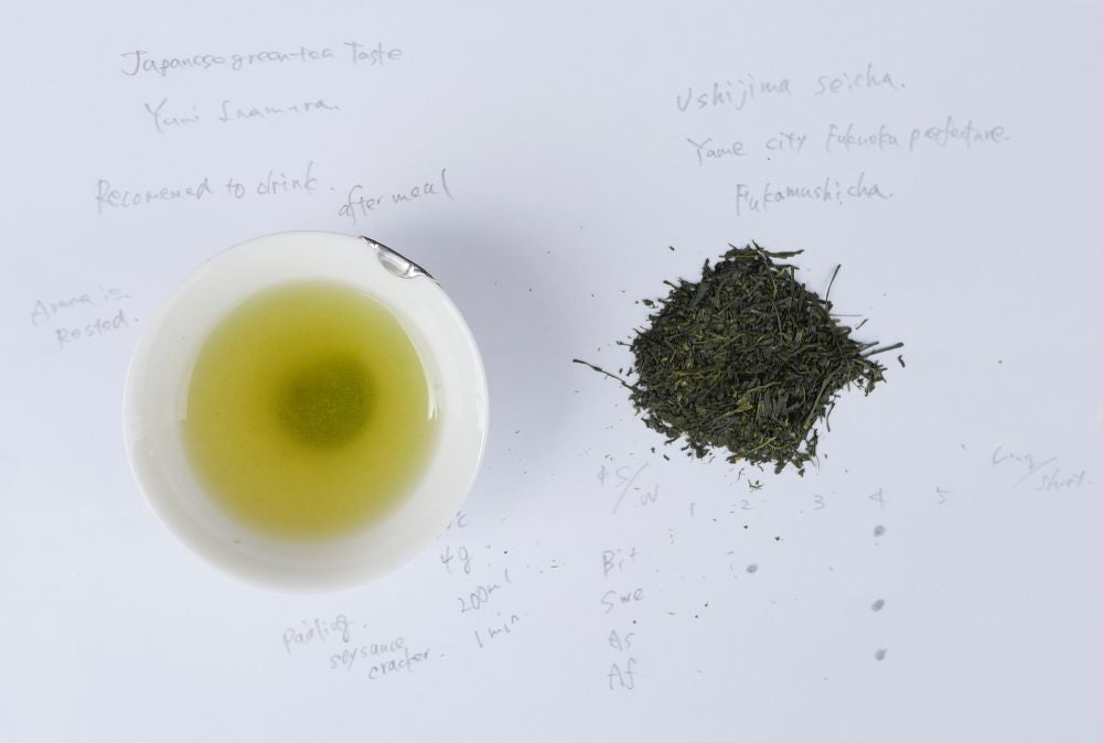 Japanese Tea Tasting Notes Yame Sencha Ushijimaseicha