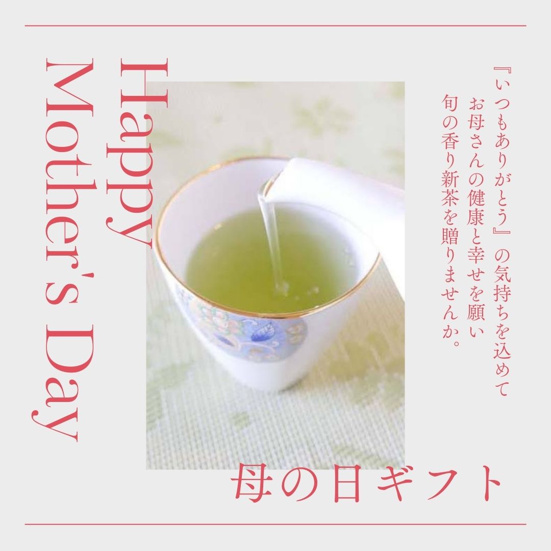 母の日新茶飲み比べギフト 2025年