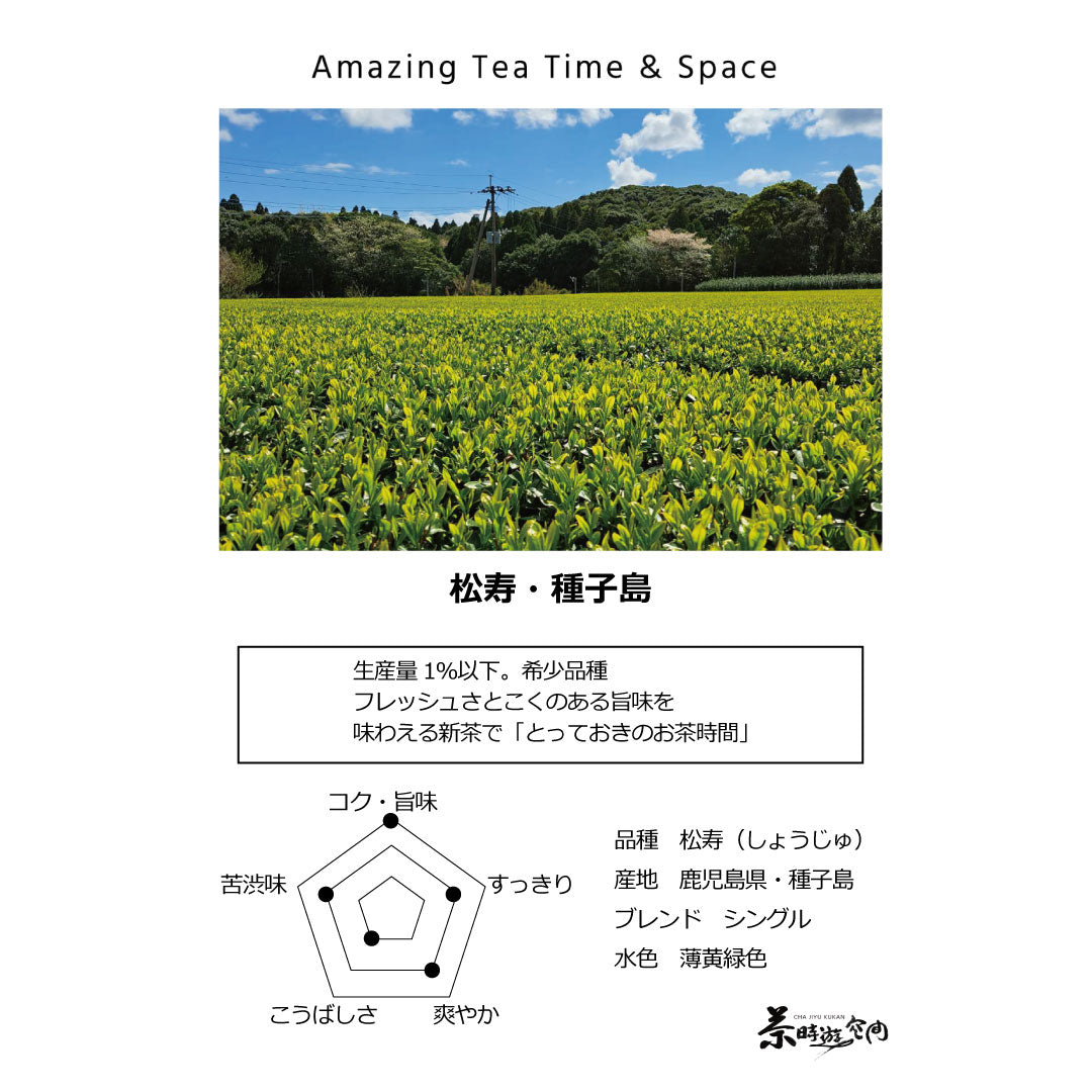 種子島新茶 松寿 新茶2025年|入荷しました!