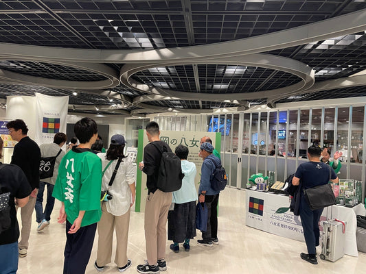 福岡の八女茶を味わい巡る2025