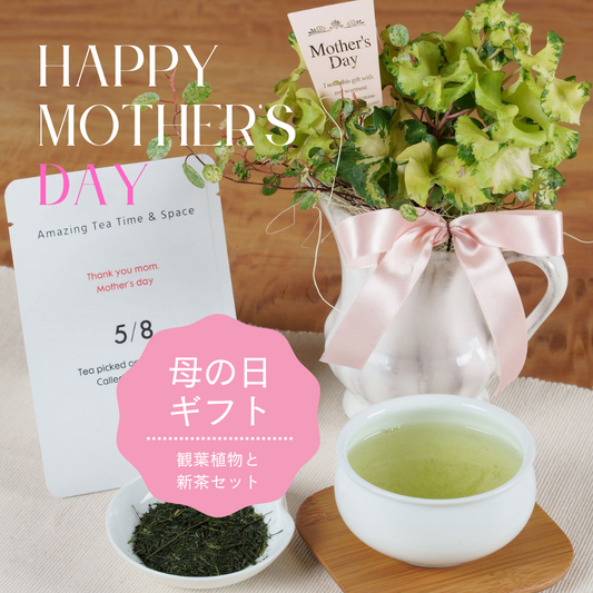 母の日2022年　観葉植物・お花と新茶セット