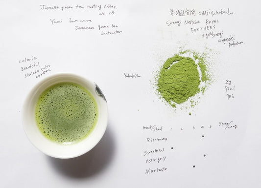 Japanese Tea Tasting Notes Matcha Royal FORTHEES