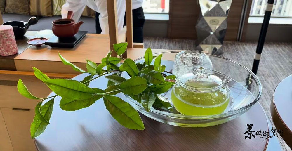 八女新茶　新茶2026年｜入荷しました！