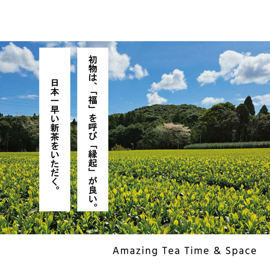 New tea 2024_Kagoshima Prefecture Tanegashima Matsuju has arrived!